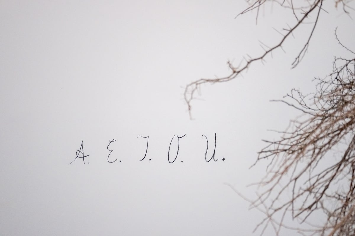 The letters A. E. I. O. U. written in thin cursive script across a pale unbroken wall, partly overhung by dry bare twigs, in Salzburg.