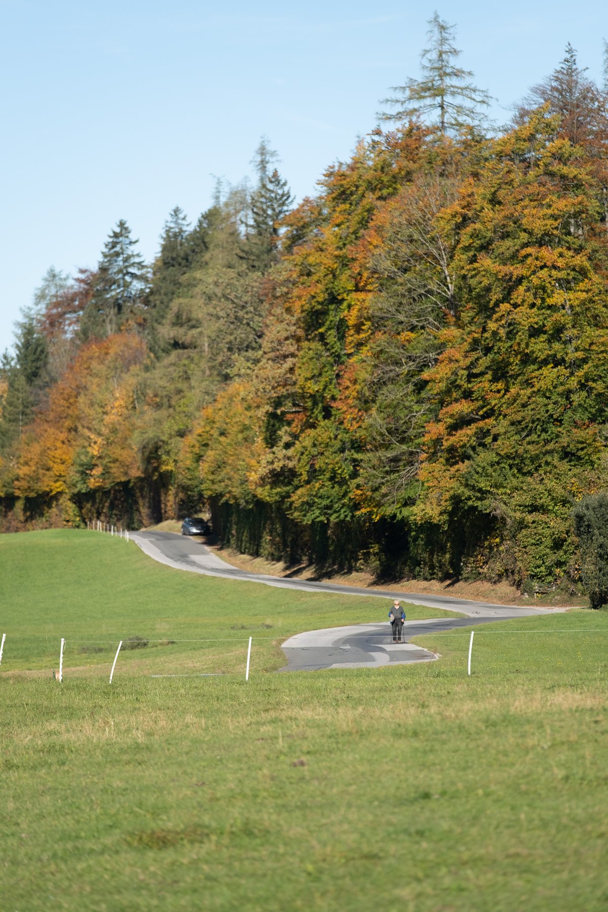 A lone Nordic walker follows a narrow asphalt lane that curves through green pasture below a hillside of beech and larch turning gold near Fuschl am See.