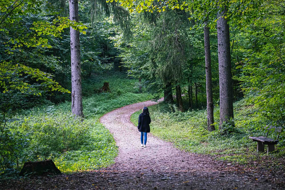Hiker on a shaded forest path on Hellbrunn hill in Salzburg