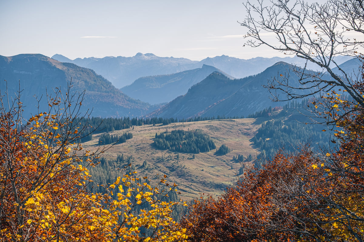 Golden and rust autumn foliage frames a view from the Zwölferhorn across a broad alpine pasture basin to layered, hazy limestone ranges.