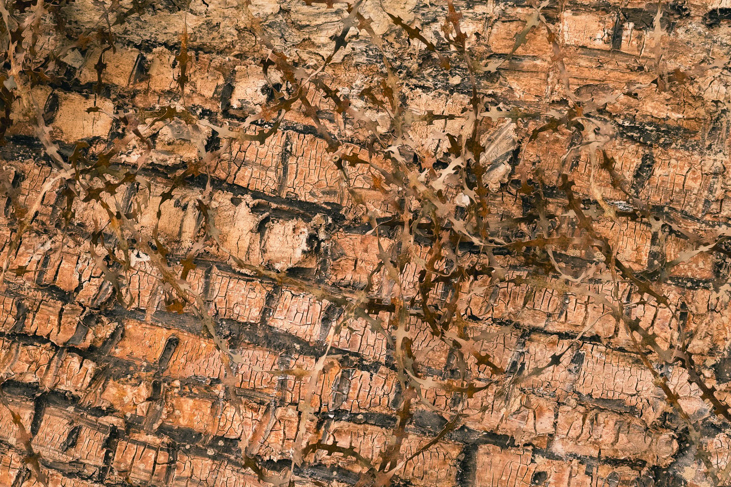 A close abstract detail of layered, cracked rust-brown and blackened material crossed by thin dry thorn branches inside the AEIOU pavilion in Salzburg.