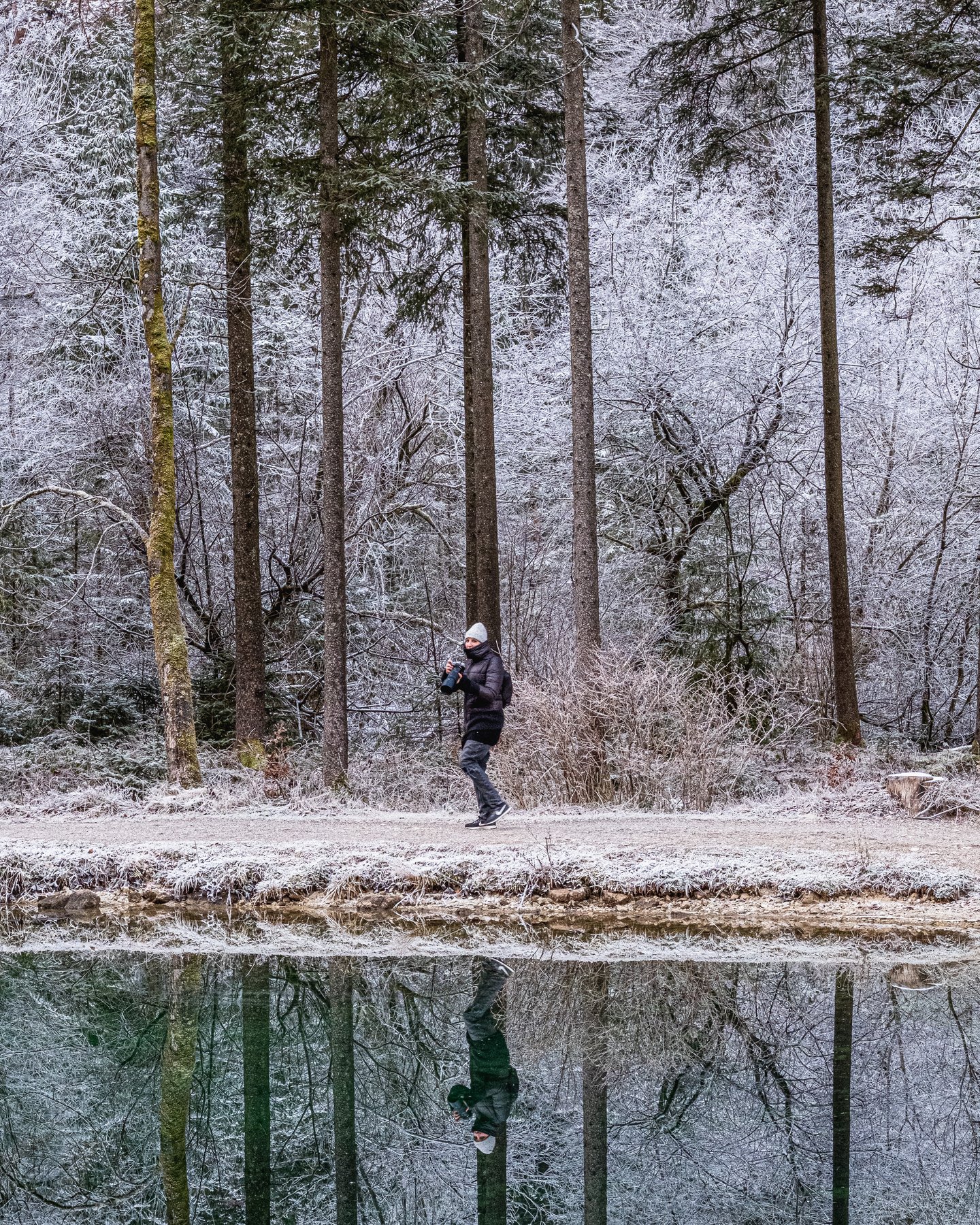 A photographer carrying a camera walks the lakeside path in the Bluntautal, his figure and the tall spruce trunks mirrored in the water below.