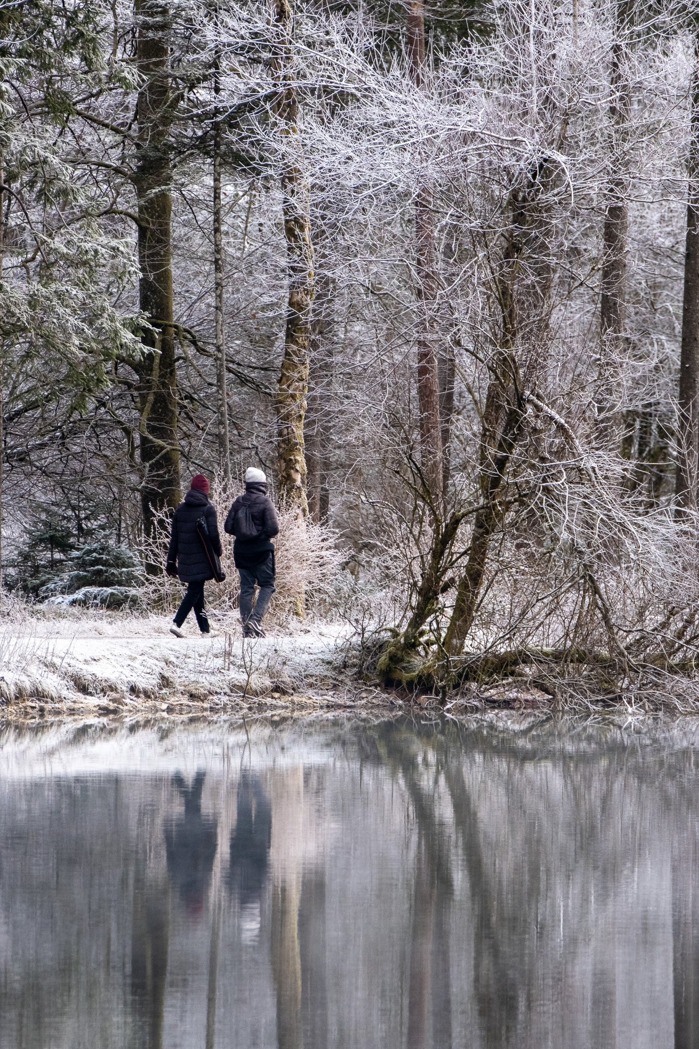 Two walkers in dark winter coats follow the shore path of the Bluntausee under frost-covered trees, their figures mirrored in the still water.