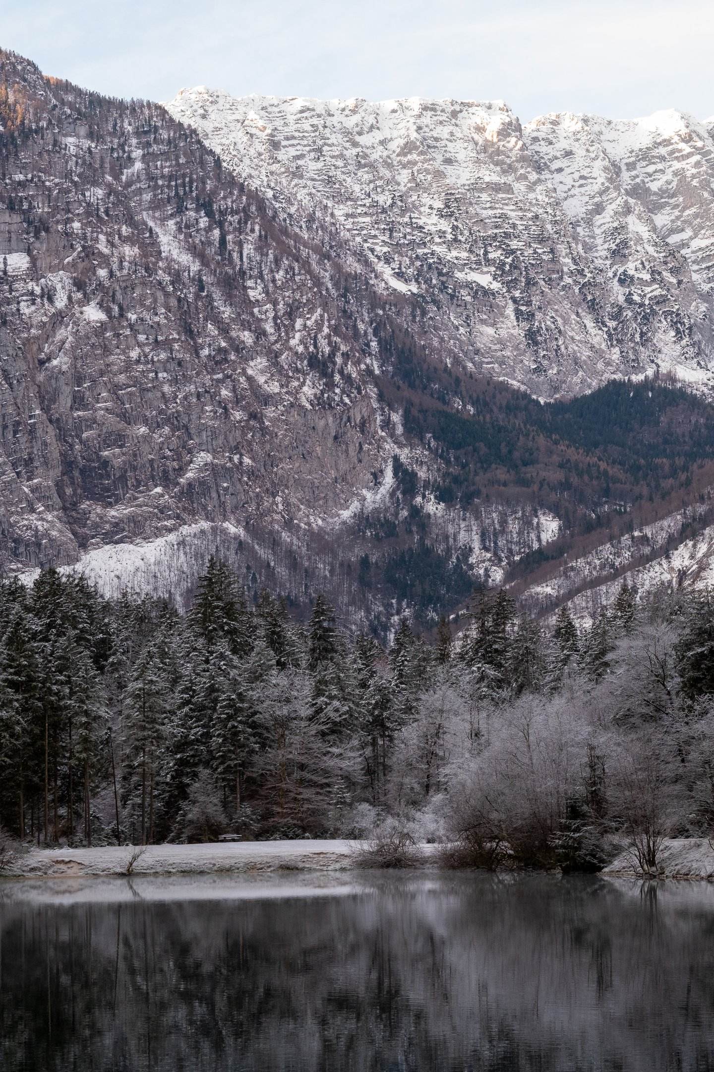 The snow-covered limestone massif above the Bluntautal rises behind frosted spruce forest, with the still surface of the Bluntausee in the foreground.