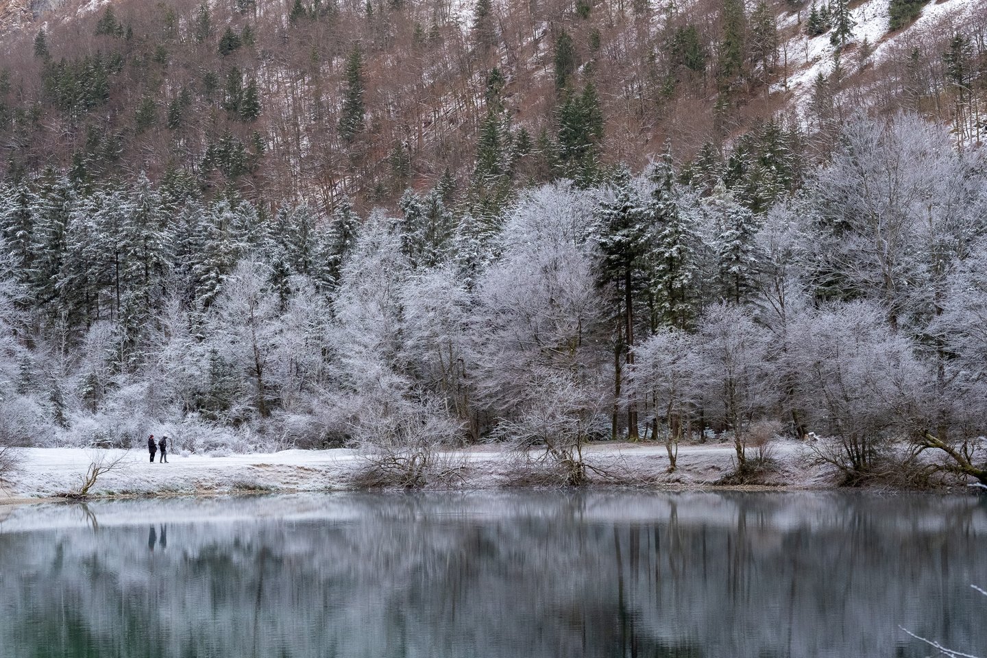 Two walkers on a frosted shore path beside a still lake in the Bluntautal near Golling, with hoarfrost-covered trees and a snowy forest slope mirrored in the water.