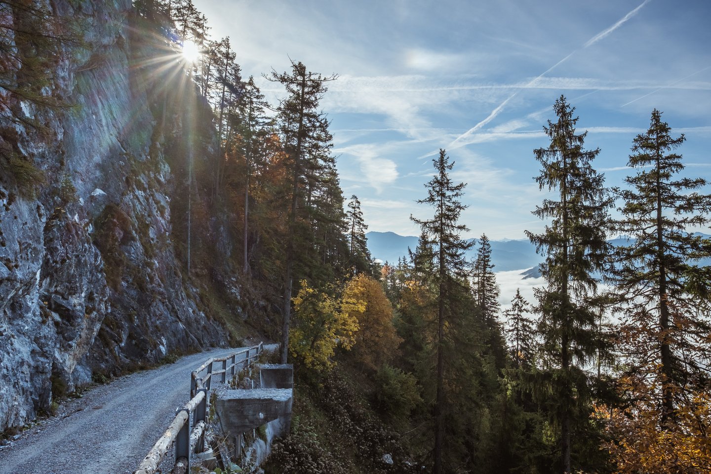 The gravel Panoramaweg runs along the foot of a limestone wall with a timber railing, the sun bursting through spruce tops and a sea of fog filling the valley below.