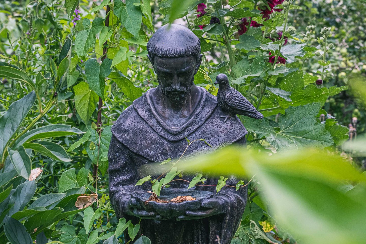 Bronze statue of Saint Francis of Assisi with a dove on his shoulder in the Franziskanergarten of the Franciscan monastery in Salzburg
