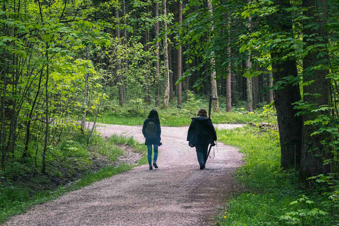 Two people walking down a forest path on the grounds of the open-air museum near Salzburg.