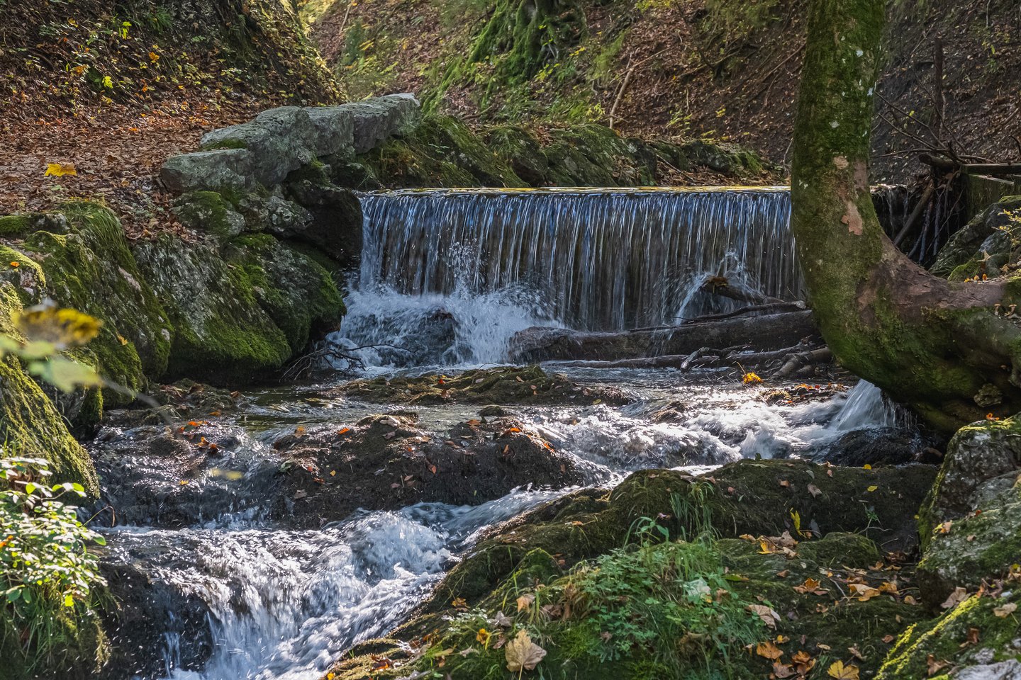 Water spills in a wide even sheet over a low stone weir into a rocky, moss-covered forest stream strewn with autumn leaves.