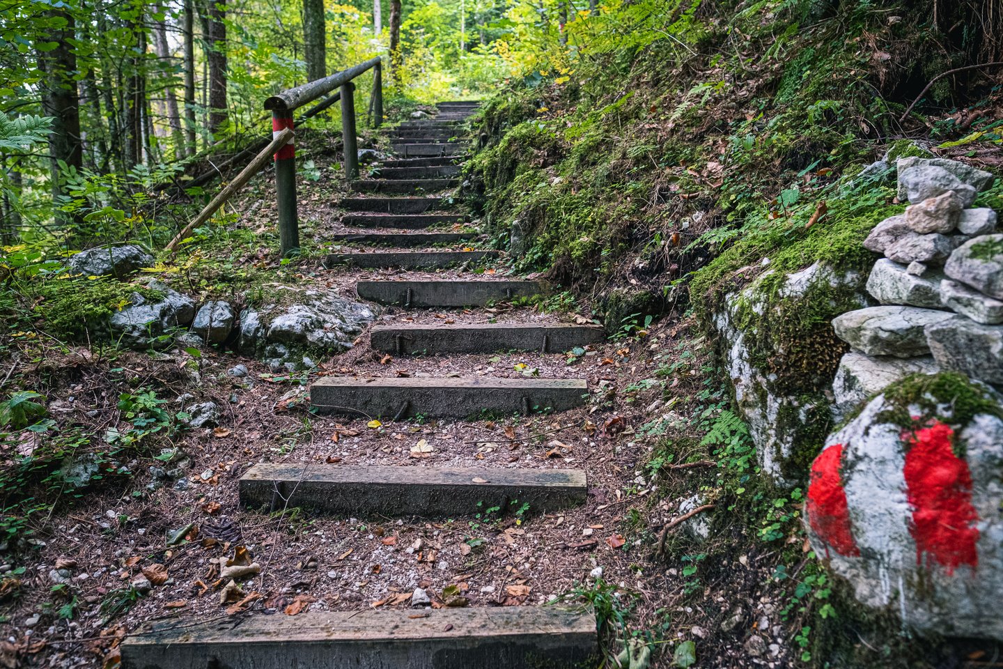 A stepped forest path of timber risers climbs through green woodland near Hallstatt, with a red and white waymark painted on a boulder at the trailside.