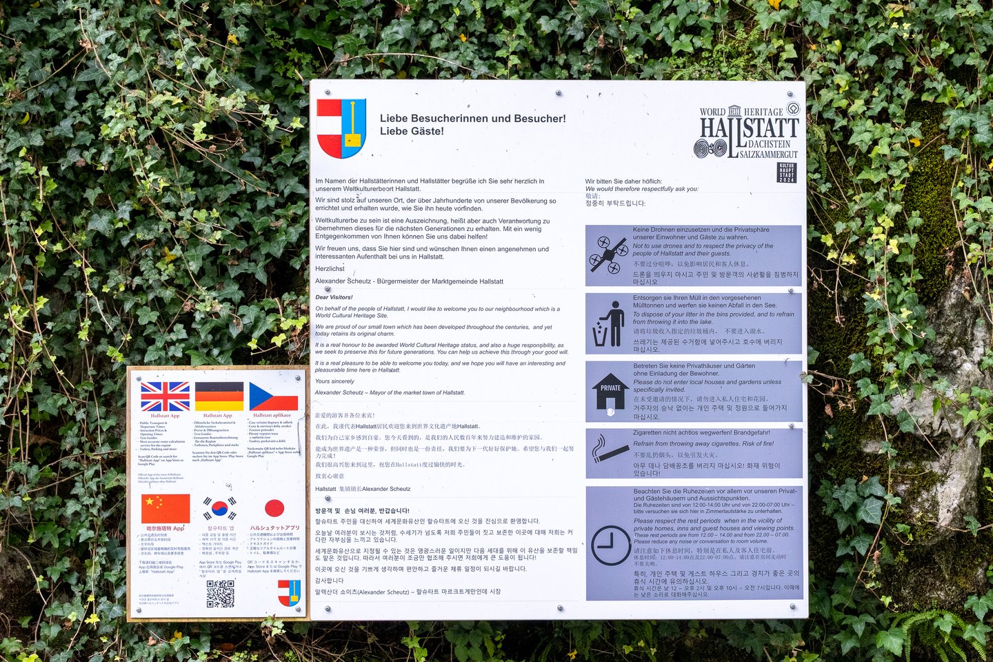A large white information board mounted on an ivy-covered wall in Hallstatt carries the mayor's multilingual welcome letter, the World Heritage logo and a panel of visitor conduct rules, with a smaller board of app download links beside it.
