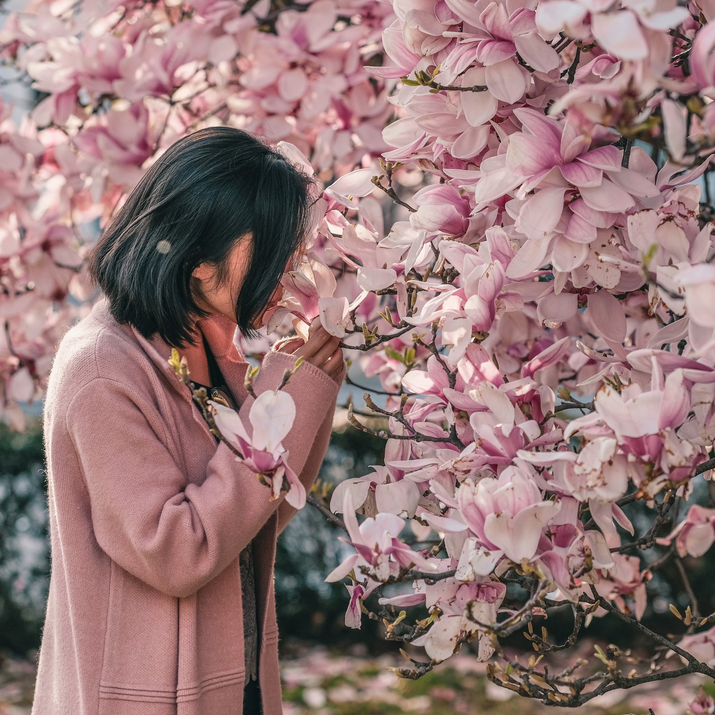 A woman in a soft pink knitted coat leans into a magnolia tree in full bloom, her dark bob falling forward as she draws a pale pink blossom towards her face, the flower-laden branches filling the rest of the frame.