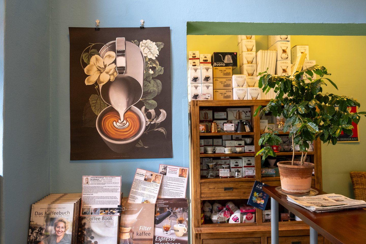 The retail corner of Kaffee Alchemie in Salzburg, where a latte-art poster hangs on a pale blue wall beside a wooden shelf stacked with Chemex and Hario brewing boxes, coffee books spread on the table below and a young coffee plant in a terracotta pot.