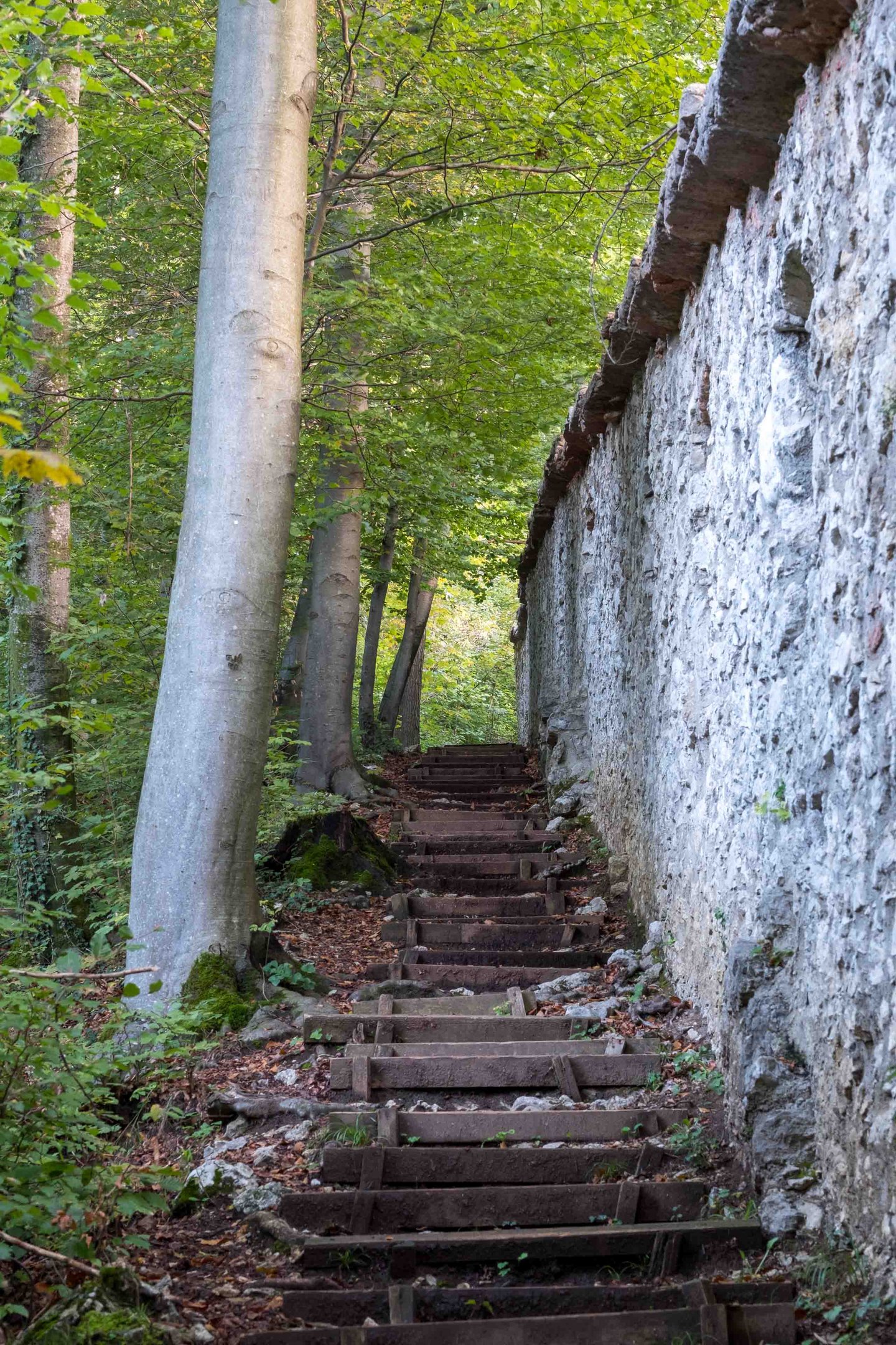 Wooden steps along an old stone wall on the forested slope of Kapuzinerberg in Salzburg.