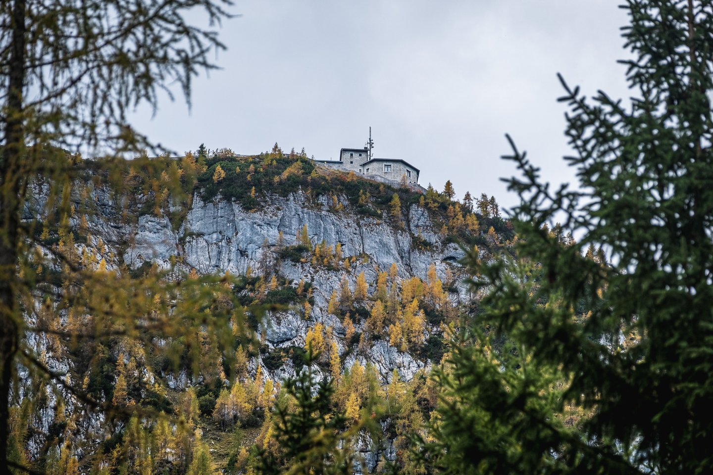 The grey stone Kehlsteinhaus with its aerial mast sits on the very edge of a pale limestone cliff, seen from far below through golden larches and dark spruce under an overcast sky.