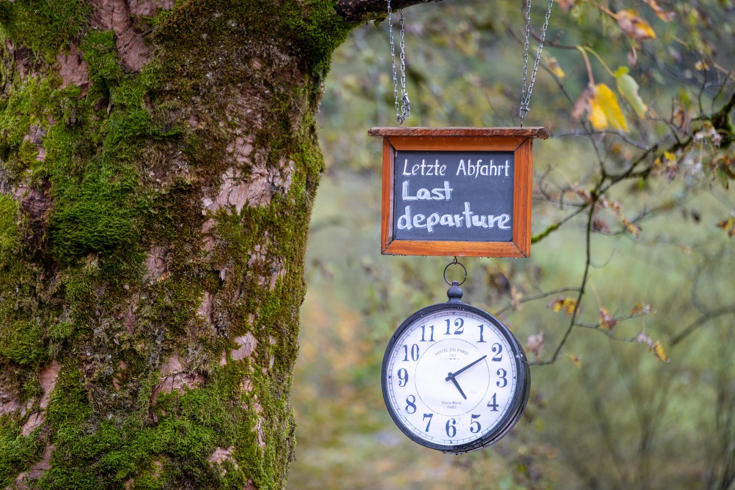 A chalkboard reading Letzte Abfahrt and Last departure hangs with a large round clock face from a moss covered tree at the Salet boat landing.