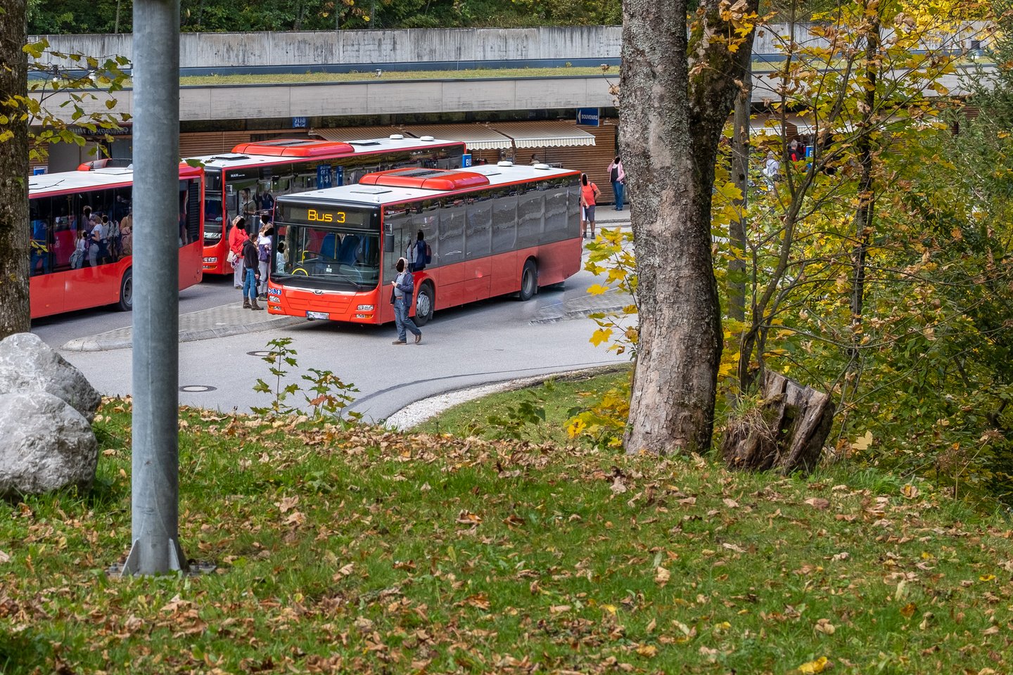 Three red Kehlstein shuttle buses stand at the Obersalzberg bus terminal, the nearest showing Bus 3 on its display, seen through autumn trees from the slope above.