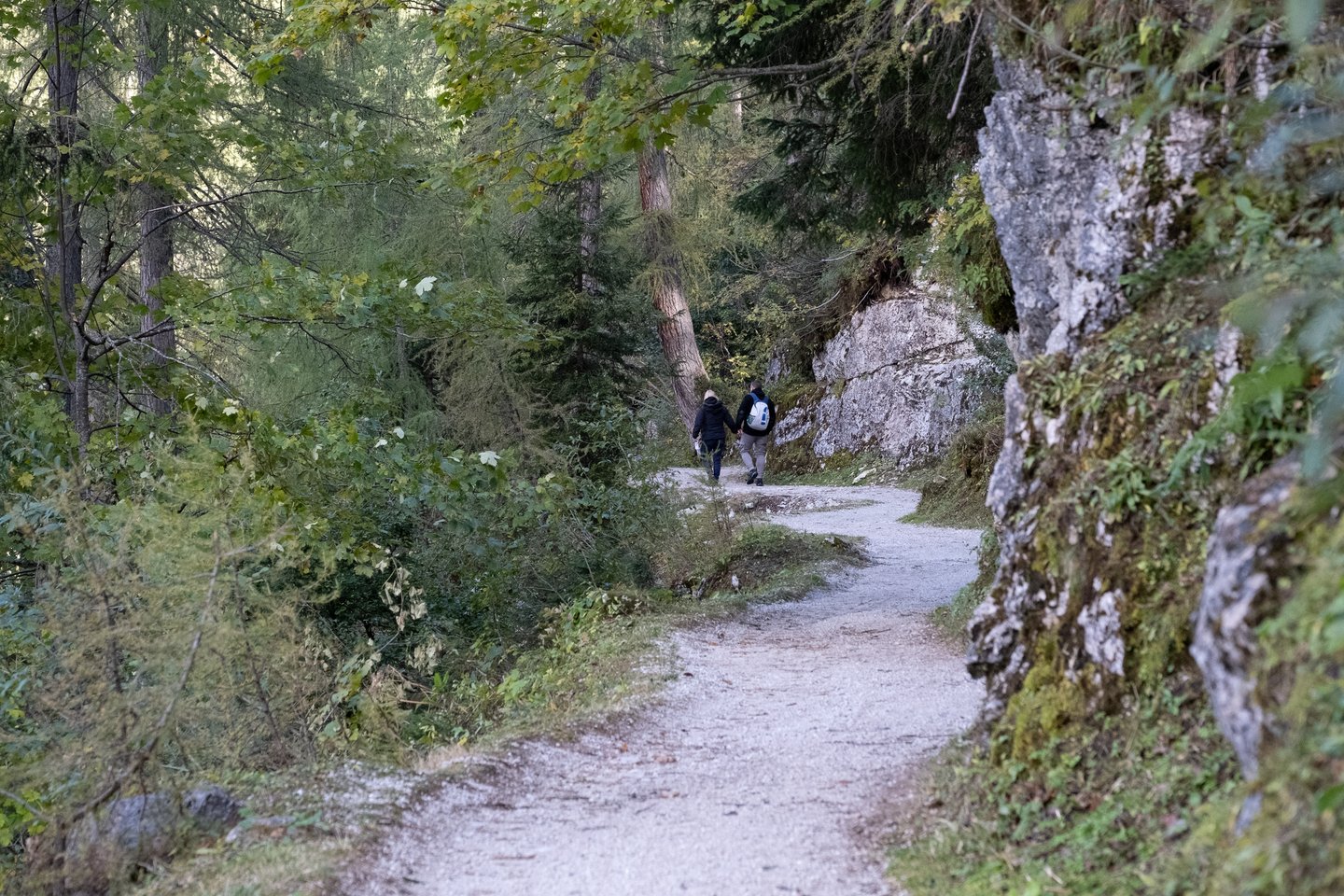 Two hikers walk away up a pale gravel trail that curves between mossy limestone outcrops and autumn conifers on the way back from the Mammoth Cave.