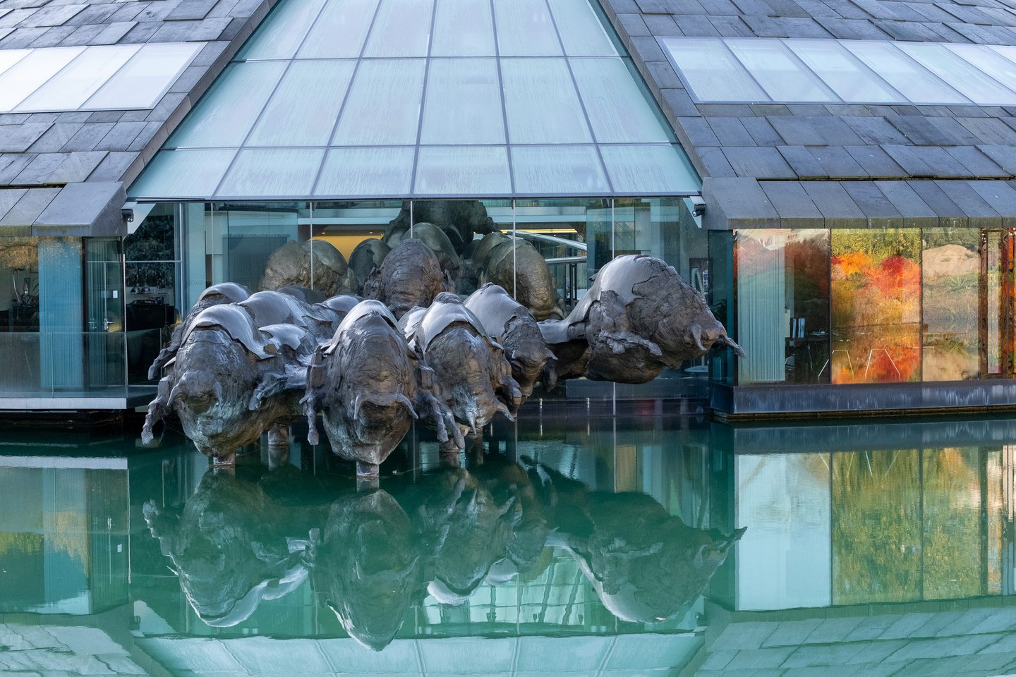 Close view of the bronze bulls breaking out through the glass facade of the Red Bull headquarters and wading into the green water, their reflections directly beneath them.