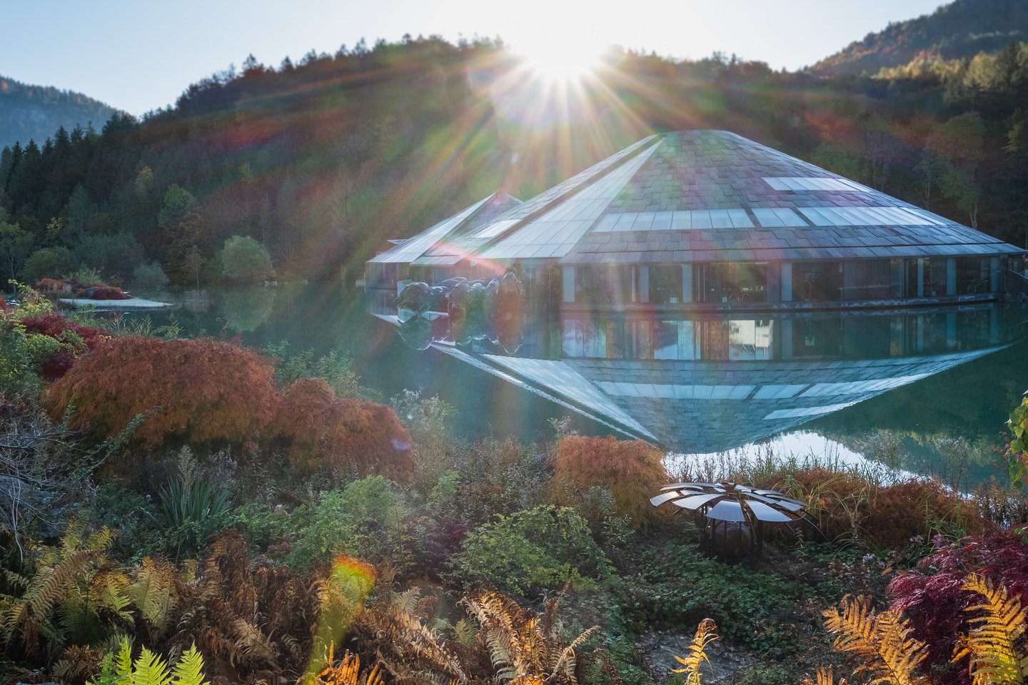 Sunlight bursts over the ridge and flares across the frame above the main cone of the Red Bull headquarters, with russet ferns and Japanese maples filling the foreground.