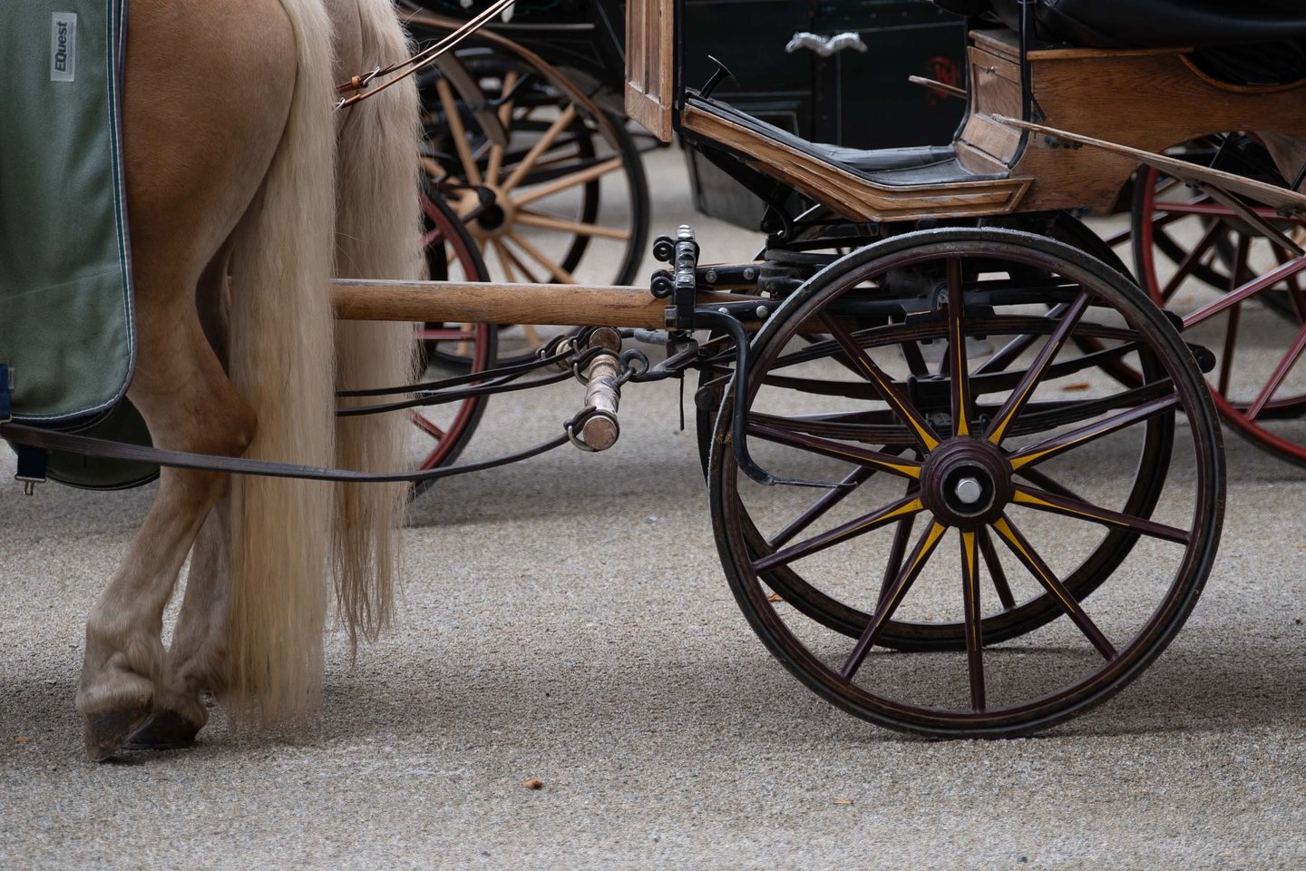 Detail of a Fiaker carriage wheel and horse's tail on Residenzplatz in Salzburg old town.