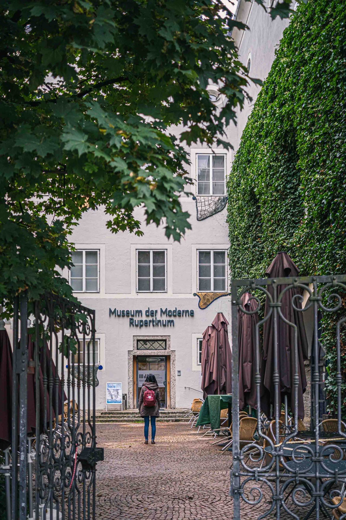 Ivy-covered wall beside the Museum der Moderne Rupertinum entrance in Salzburg old town.
