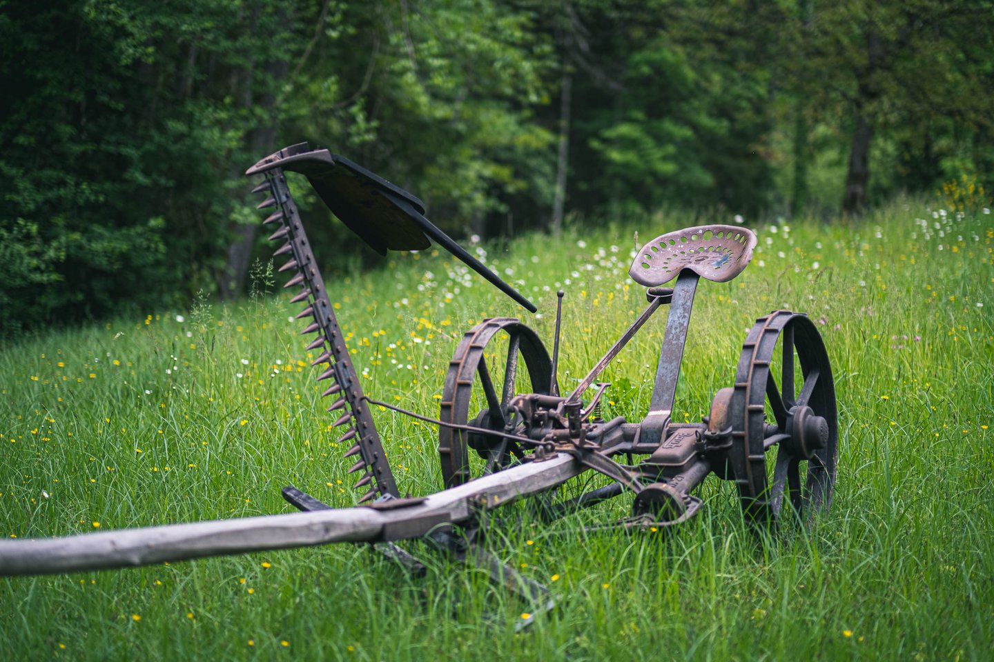 Antique horse-drawn mowing machine on a meadow at Salzburger Freilichtmuseum in Grossgmain