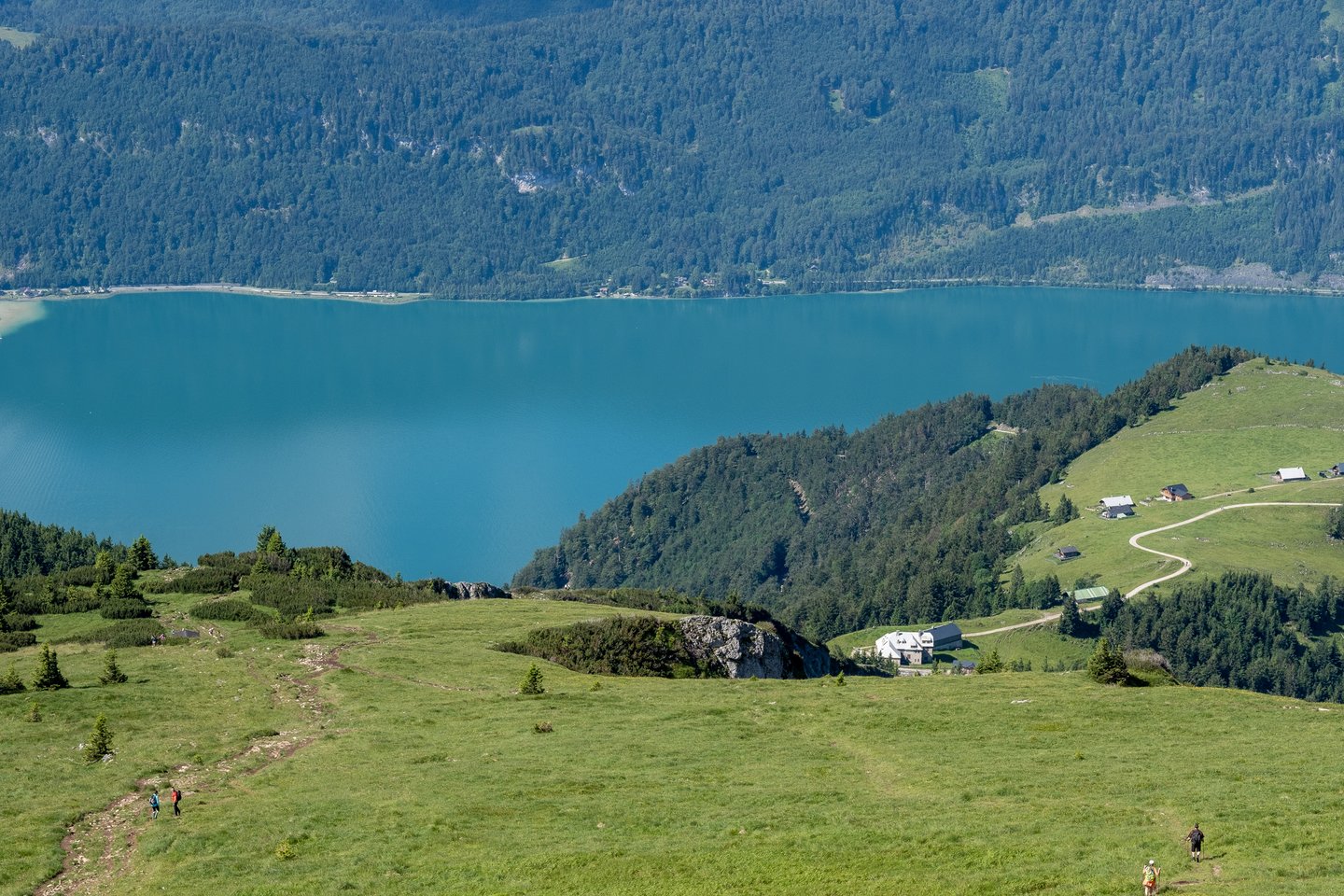 Hikers cross the wide grassy meadow below the Schafberg summit while the turquoise Wolfgangsee fills the background and a cluster of alm huts sits on the wooded spur to the right.