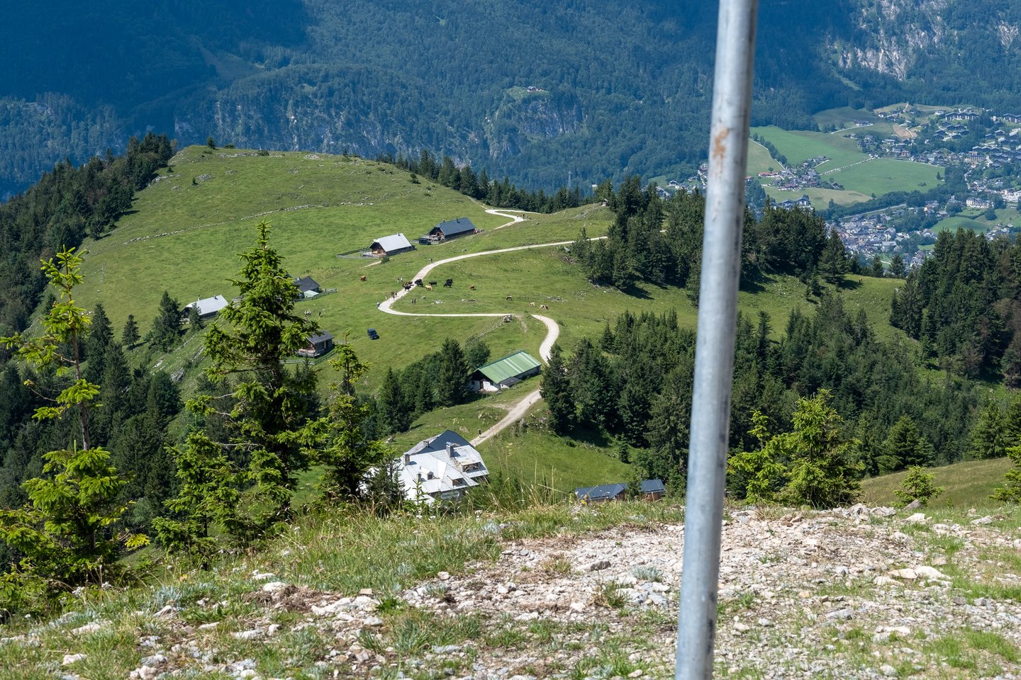 Looking down from the Schafberg trail onto the huts, the winding gravel track and the grazing cattle of the Schafbergalm, with the roofs of St. Wolfgang across the valley to the right.
