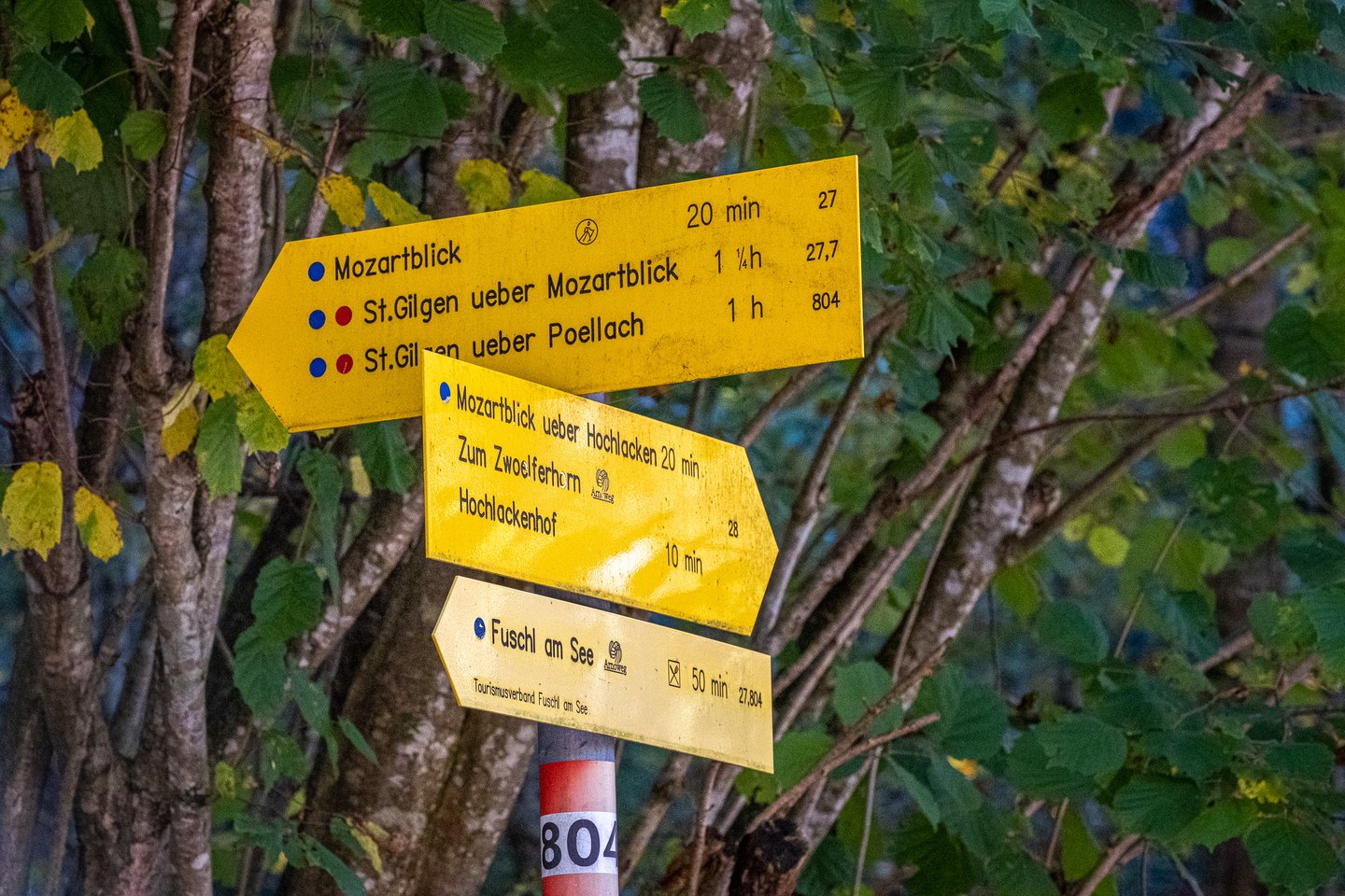 A yellow Austrian hiking signpost on route 804 points to Mozartblick, St Gilgen, the Zwoelferhorn, Hochlackenhof and Fuschl am See, backed by autumn hazel leaves.