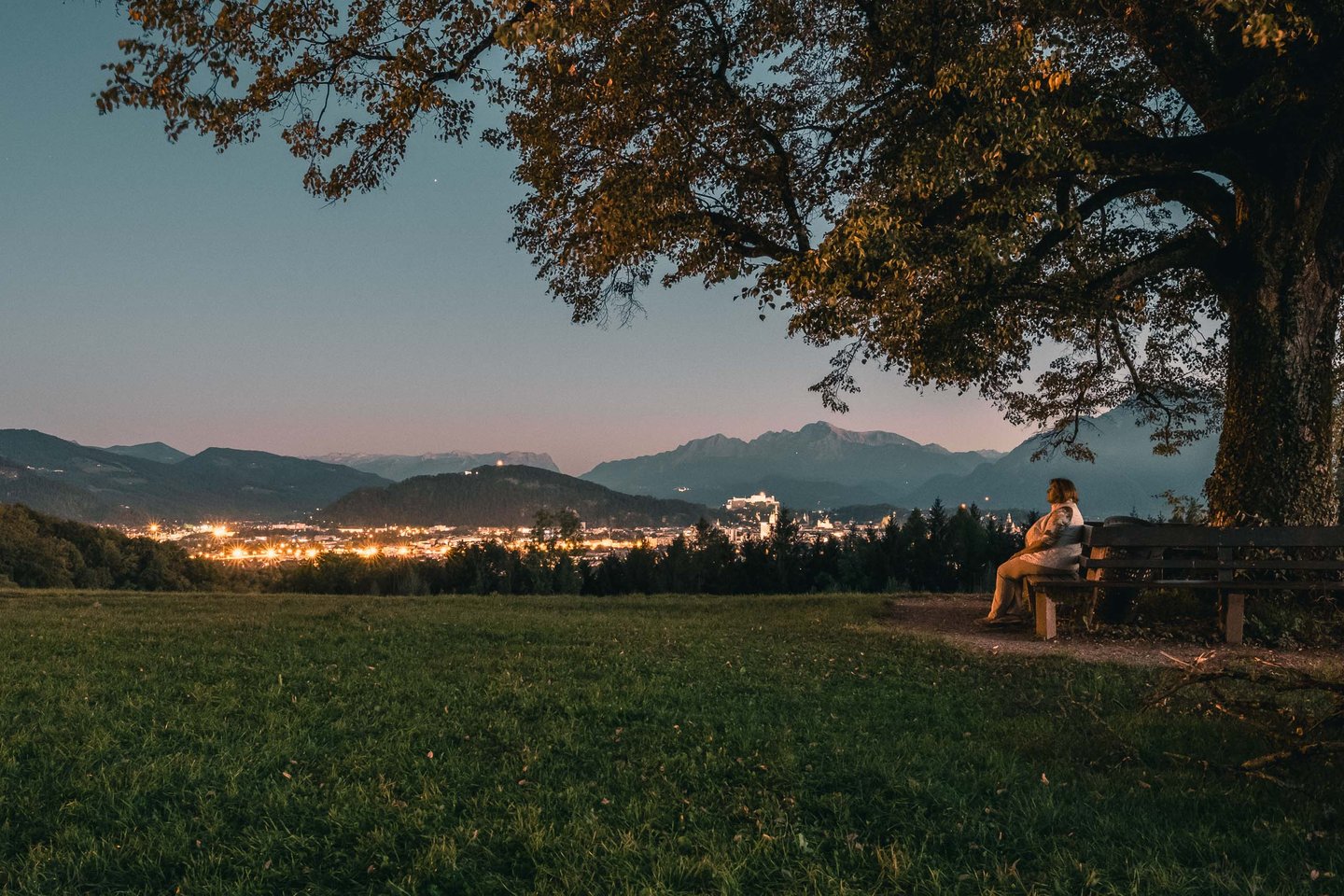 Person seated on bench under tree at dusk overlooking illuminated Salzburg from Plainberg