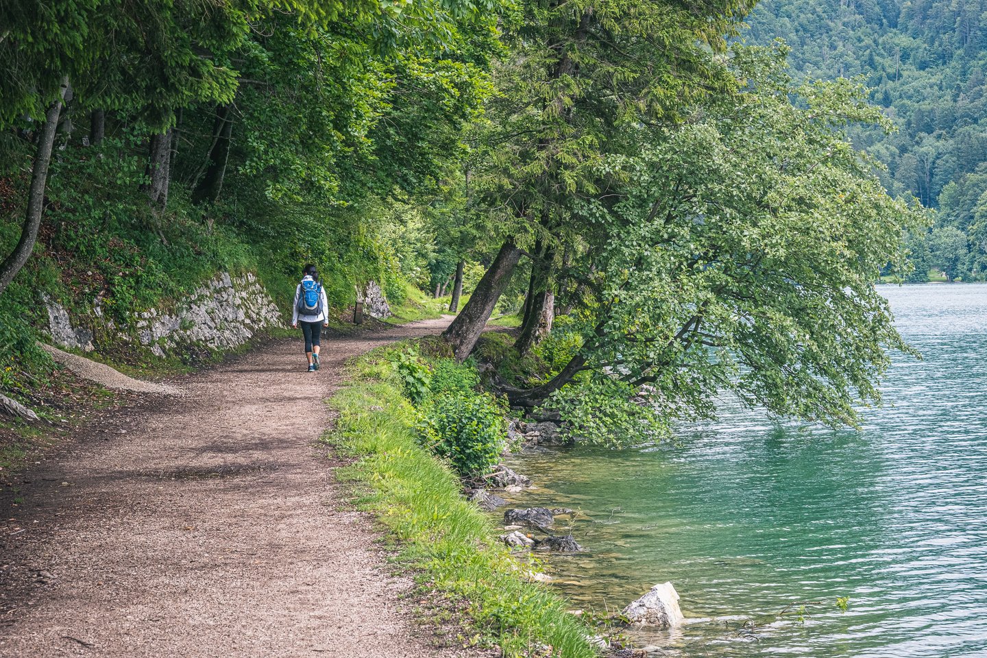 A walker heads away along the gravel shore path of the Wolfgangsee, with clear turquoise shallows and a tree leaning far out over the water on the right.