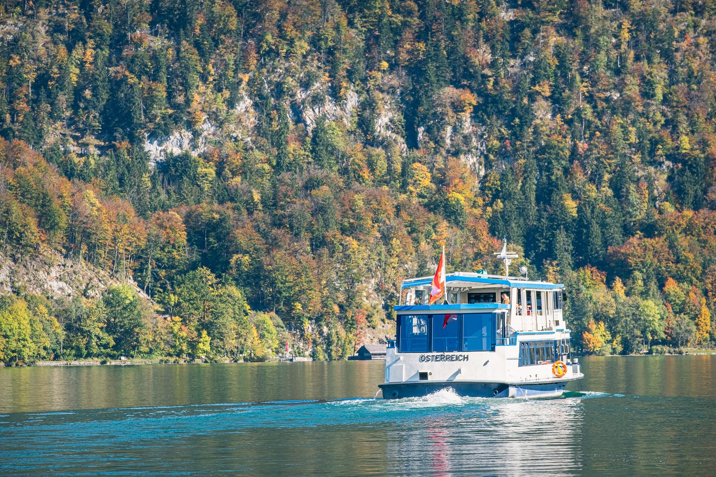 The ferry MS Österreich runs along the steep autumn-coloured shore of the Wolfgangsee, leaving a wake across the green water.