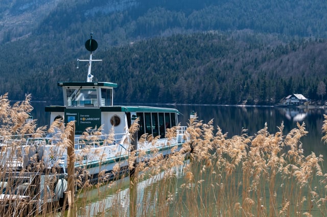 The solar-powered excursion boat Altausseer lies moored at its jetty on the Altausseer See, seen through tall pale reeds with a forested mountainside dropping to the far shore.