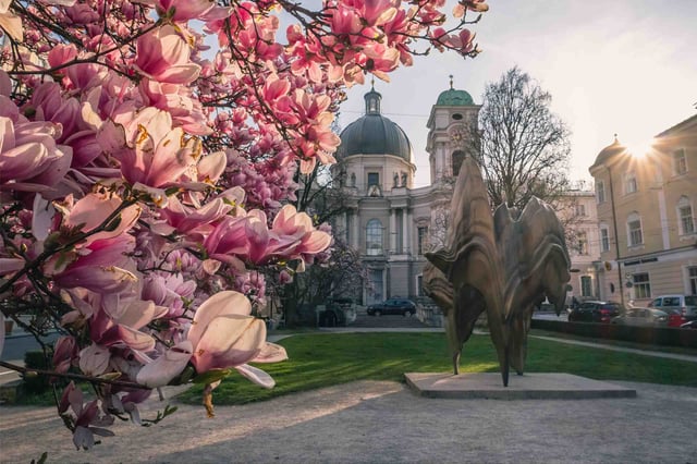 Pink magnolia blossoms and modern bronze sculpture in front of Dreifaltigkeitskirche in Salzburg.