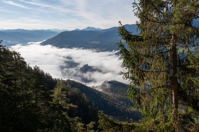 A cloud inversion fills the whole valley floor below Werfen, with only Festung Hohenwerfen breaking through the white on its ridge, framed by a spruce on the near slope and blue ranges to the horizon.