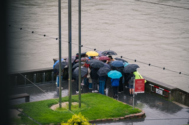 A walking tour group presses together under a cluster of umbrellas in heavy rain on the Salzach embankment, the brown flood water running high behind them.
