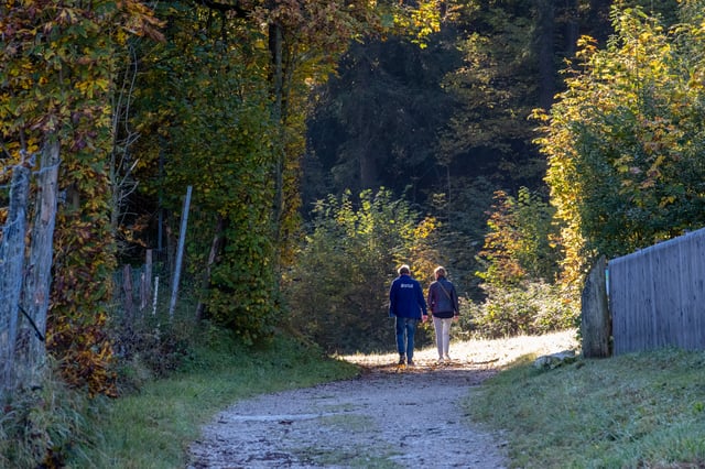 A couple walks away from the camera along a gravel forest track into a patch of backlit autumn foliage near Fuschl am See.