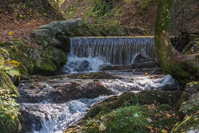 Water spills in a wide even sheet over a low stone weir into a rocky, moss-covered forest stream strewn with autumn leaves.