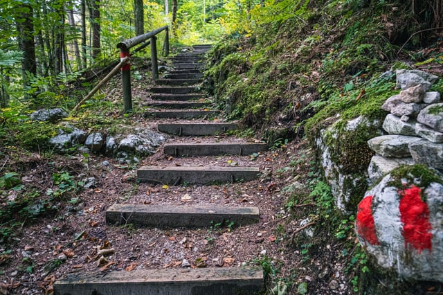 A stepped forest path of timber risers climbs through green woodland near Hallstatt, with a red and white waymark painted on a boulder at the trailside.