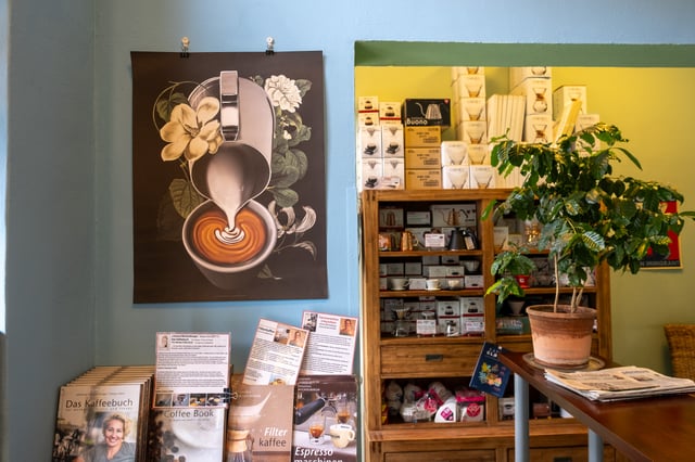 The retail corner of Kaffee Alchemie in Salzburg, where a latte-art poster hangs on a pale blue wall beside a wooden shelf stacked with Chemex and Hario brewing boxes, coffee books spread on the table below and a young coffee plant in a terracotta pot.