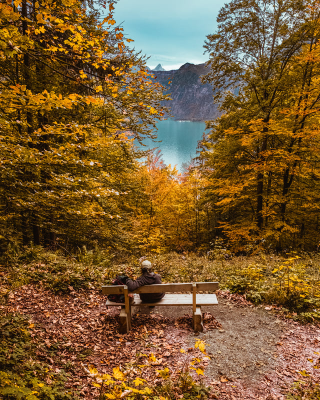 A vertical view down a corridor of orange autumn foliage to a bench where one person sits above the turquoise Koenigssee, with a dark mountain wall rising behind the lake.