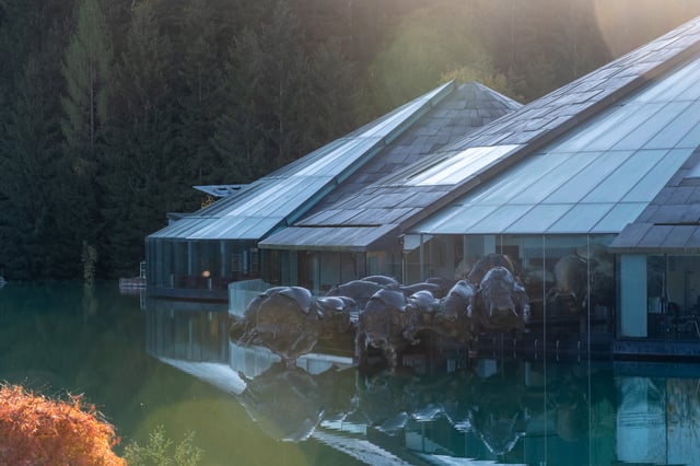 The bronze bull herd strung out along the glass frontage at the waterline of the Red Bull headquarters lake, lit from behind by low autumn sun with dark spruce forest above.