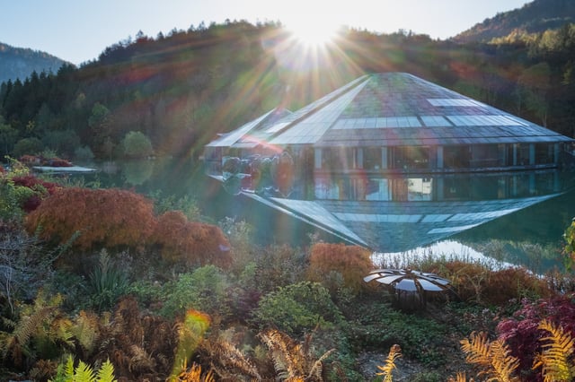 Sunlight bursts over the ridge and flares across the frame above the main cone of the Red Bull headquarters, with russet ferns and Japanese maples filling the foreground.