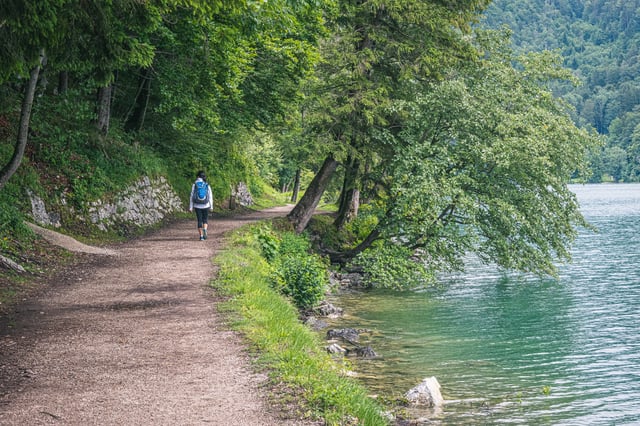 A walker heads away along the gravel shore path of the Wolfgangsee, with clear turquoise shallows and a tree leaning far out over the water on the right.